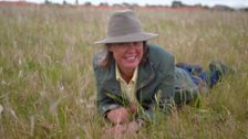 S29 E33: Gardening Australia