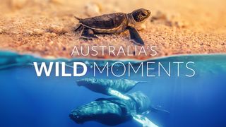Australia's Wild Moments