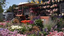 S35 E19: Winter: Designer Gardens & Strawberry Baskets