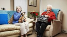 S14 E6: Gogglebox UK