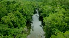 S5 E17: Eastern Kuku Yalangi Country, Mossman Gorge