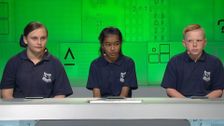 S20 E4: It's Academic