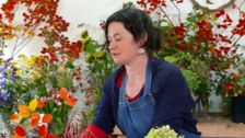S31 E2: Gardening Australia