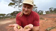 S3 E9: Aussie Gold Hunters