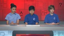S19 E50: It's Academic