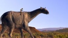 S1 E2: Paraceratherium and Footprint