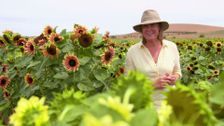 S30 E1: Gardening Australia