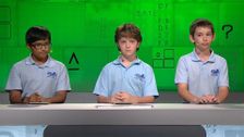 S19 E40: It's Academic
