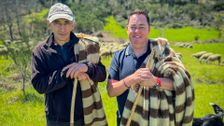 S3 E4: Neven's Portuguese Food Trails