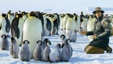 S1 E1: Andy and the Emperor Penguins