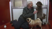 S6 E8: Paul O'Grady: For the Love of Dogs