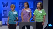 S3 E45: Match It