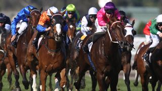 Living Legends of the Cox Plate