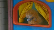 S2 E23: Winkles Redecorates