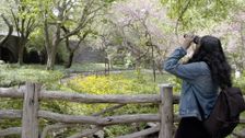 S1 E3: Archipelago New York