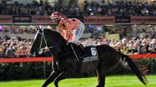Champions - Black Caviar