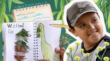 S1 E18: Tree Diary