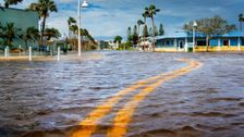 S2 E2: Double Hurricane Disaster