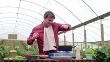 S1 E12: Freshly Picked with Simon Toohey