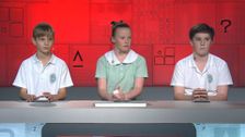 S19 E59: It's Academic
