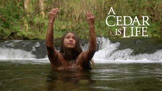 A Cedar Is Life