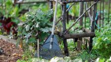 S31 E29: Gardening Australia