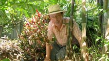 S30 E38: Gardening Australia