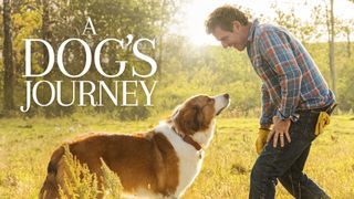 A Dog's Journey