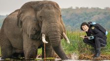 S2 E10: Andy and the African Elephants