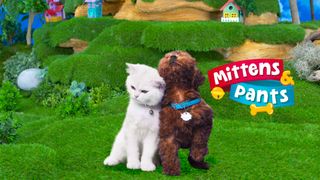 Mittens & Pants