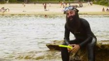 S32 E12: Gardening Australia