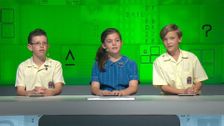 S19 E55: It's Academic