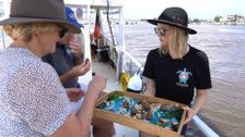 S4 E9: Sunshine Coast Special