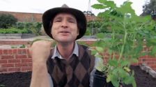 S27 E36: Guerrilla Gardeners, Handsome Hedges & Magical Mushrooms