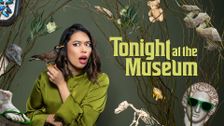 Tonight at the Museum