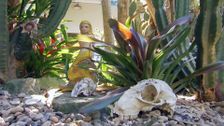 S28 E21: Low Maintenance Zone, Fruitful Planting & An Unconventional Garden