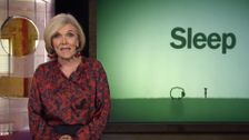 S22 E14: Sleep