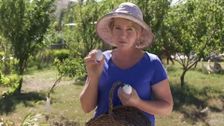 S34 E7: Easter Special