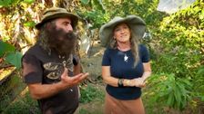 S36 E23: Winter: Subtropical Flowers & Eyre Peninsula