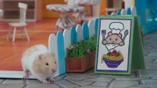 S2 E19: Chef Noodle