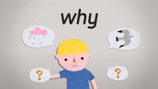 S2 E35: Why