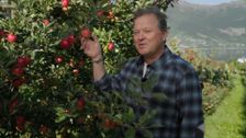 S2 E9: Treasures of Western Norway