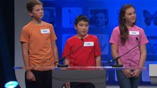 S3 E38: Match It