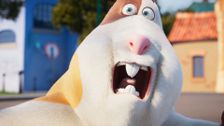 S1 E4: Aerobic Albert