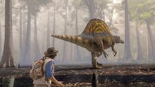 S1 E4: Spinosaurus and Scan