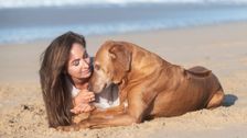 S38 E6: Goodbye My Dog