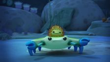 S1 E3: The Crab and Urchin