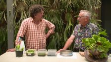 S33 E12: Brenton See