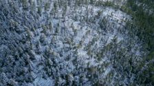 S4 E6: Alone Australia