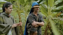 S1 E6: Providencia & the Wisdom of the Bora